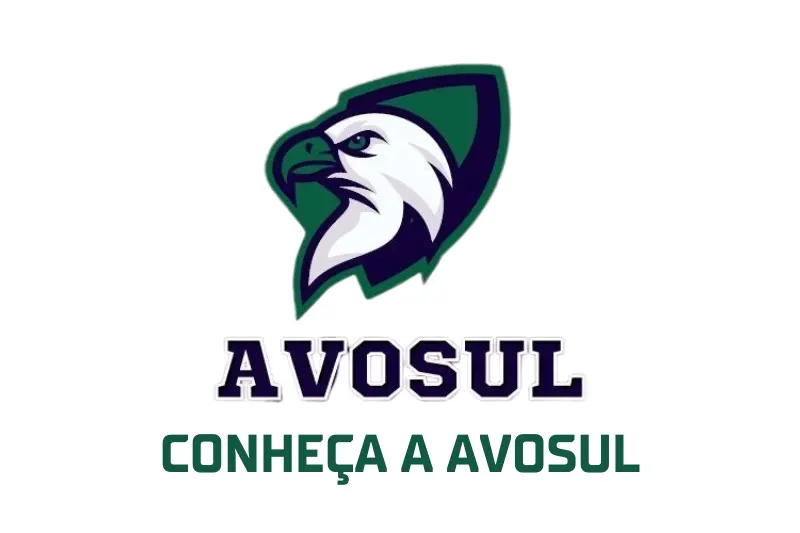 Conheça a AVOSUL